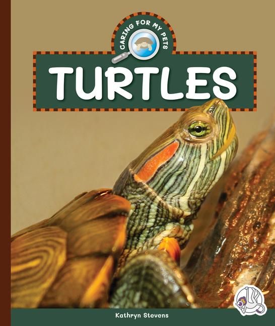 Produktbild: Turtles