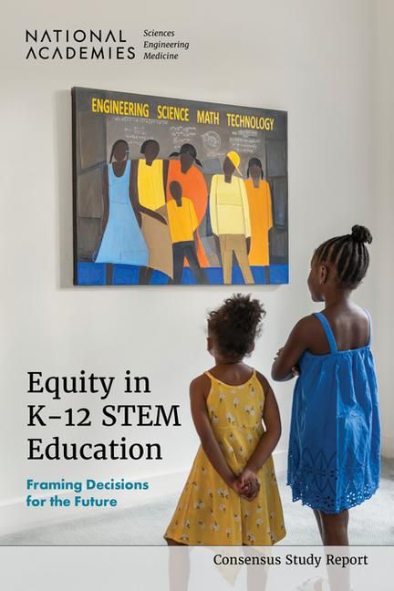 Produktbild: Equity in K-12 STEM Education