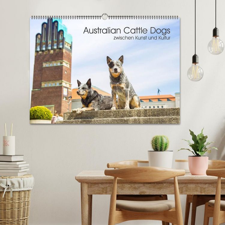 Produktbild: Australian Cattle Dogs zwischen Kunst und Kultur (Wandkalender 2026 DIN A2 quer), CALVENDO Monatskalender