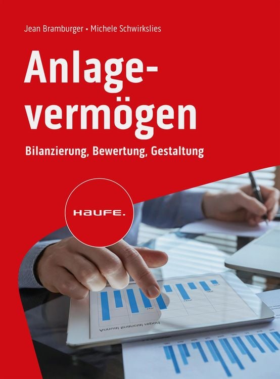 Bild vom Artikel Anlagevermögen vom Autor Jean Bramburger-Schwirkslies