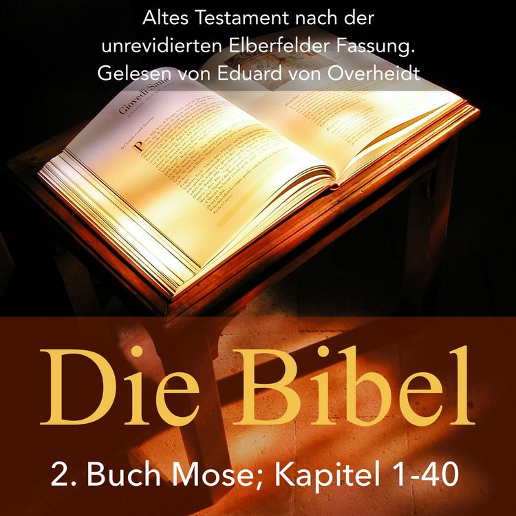 Produktbild: Die Bibel: 2. Buch Mose (Altes Testament)