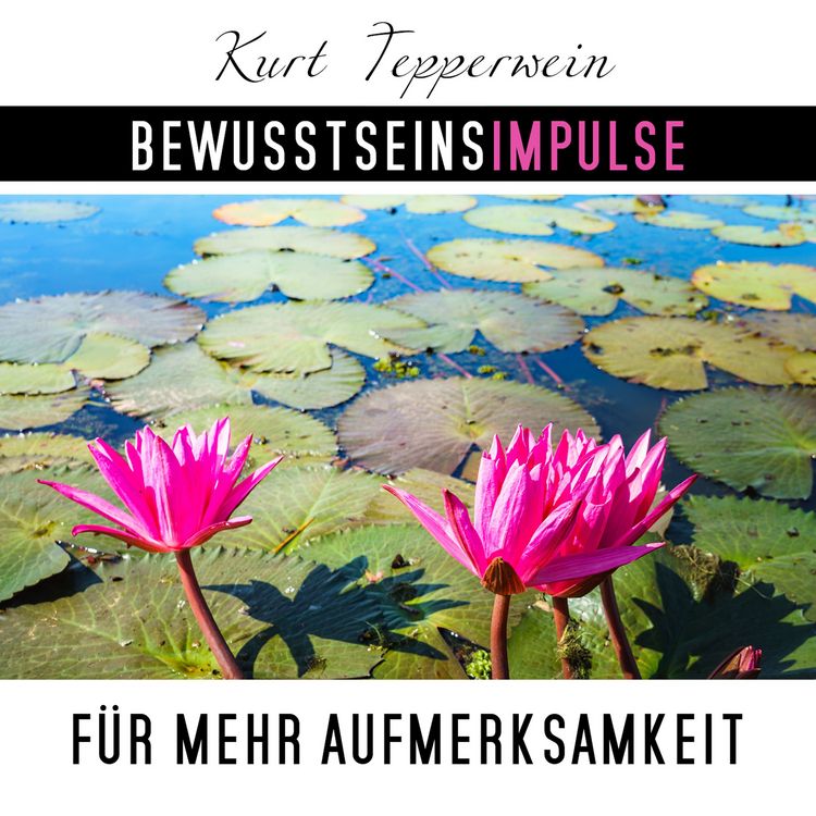 Produktbild: Bewusstseinsimpulse f&uuml;r mehr Aufmerksamkeit