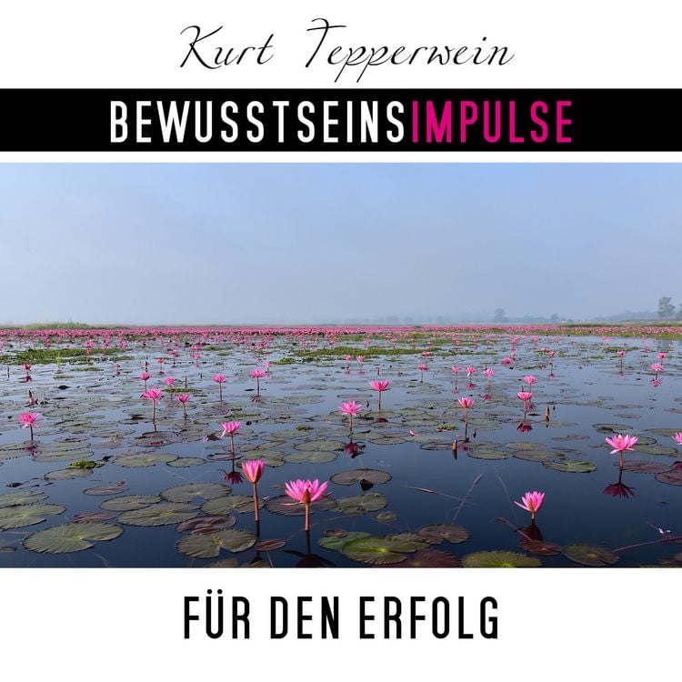 Produktbild: Bewusstseinsimpulse f&uuml;r den Erfolg