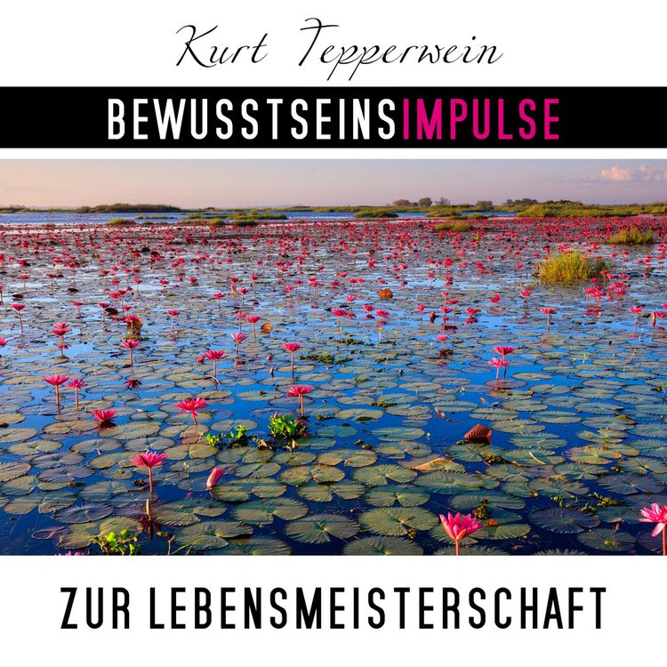 Produktbild: Bewusstseinsimpulse zur Lebensmeisterschaft