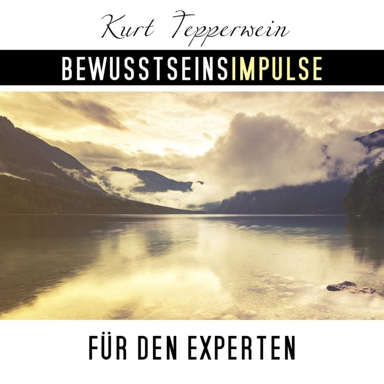 Produktbild: Bewusstseinsimpulse f&uuml;r den Experten