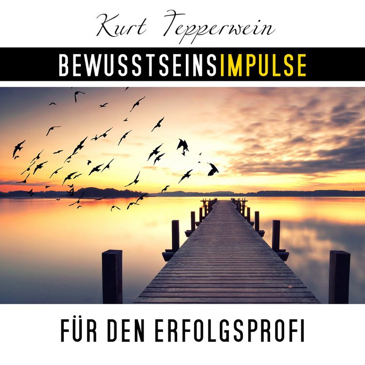 Produktbild: Bewusstseinsimpulse f&uuml;r den Erfolgsprofi