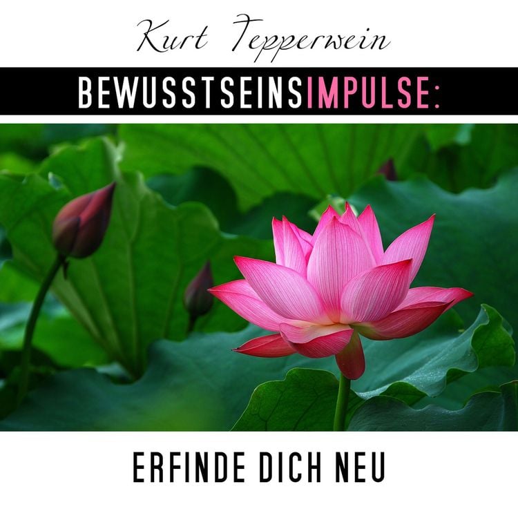 Produktbild: Bewusstseinsimpulse: Erfinde dich neu