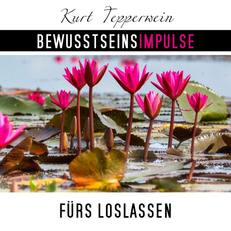 Produktbild: Bewusstseinsimpulse f&uuml;rs Loslassen