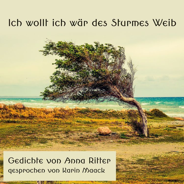 Produktbild: Ich wollt ich w&auml;r des Sturmes Weib