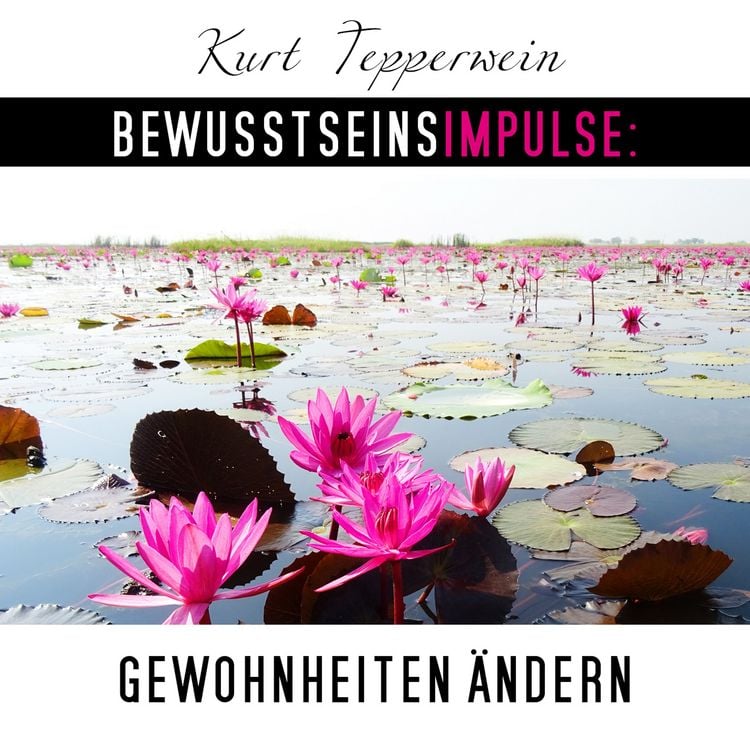 Produktbild: Bewusstseinsimpulse: Gewohnheiten &auml;ndern