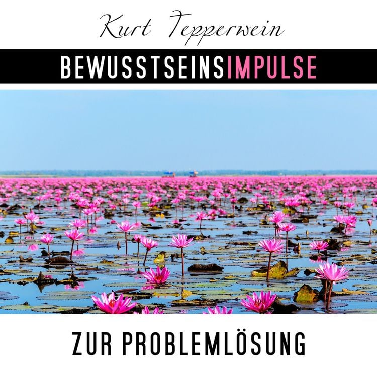 Produktbild: Bewusstseinsimpulse zur Probleml&ouml;sung