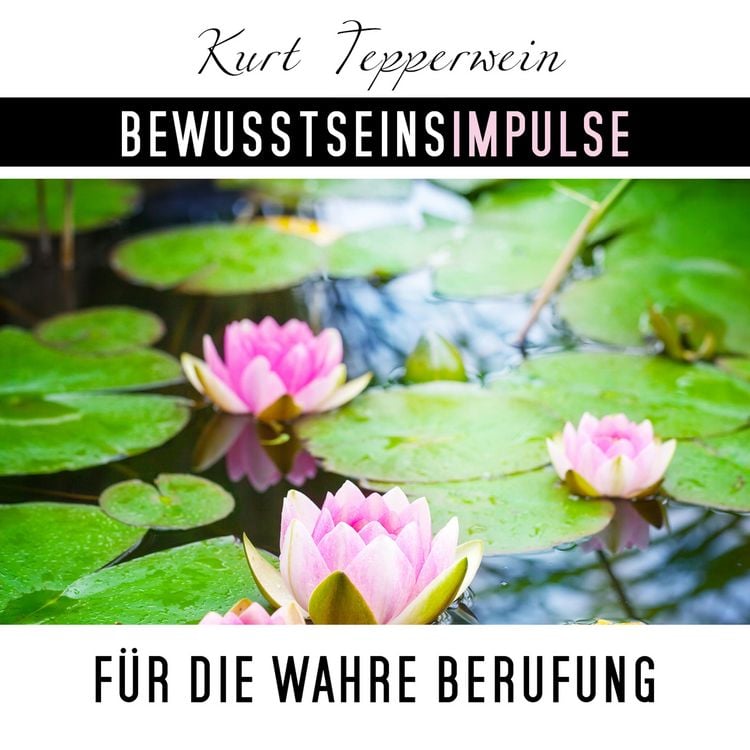 Produktbild: Bewusstseinsimpulse f&uuml;r die wahre Berufung