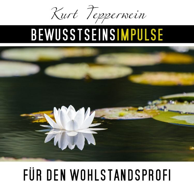 Produktbild: Bewusstseinsimpulse f&uuml;r den Wohlstandsprofi