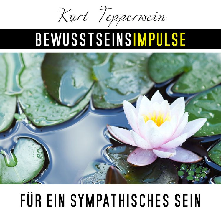 Produktbild: Bewusstseinsimpulse f&uuml;r ein sympathisches Sein