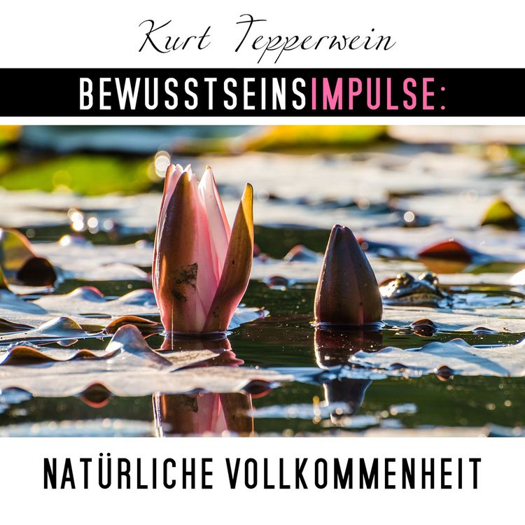 Produktbild: Bewusstseinsimpulse: Nat&uuml;rliche Vollkommenheit