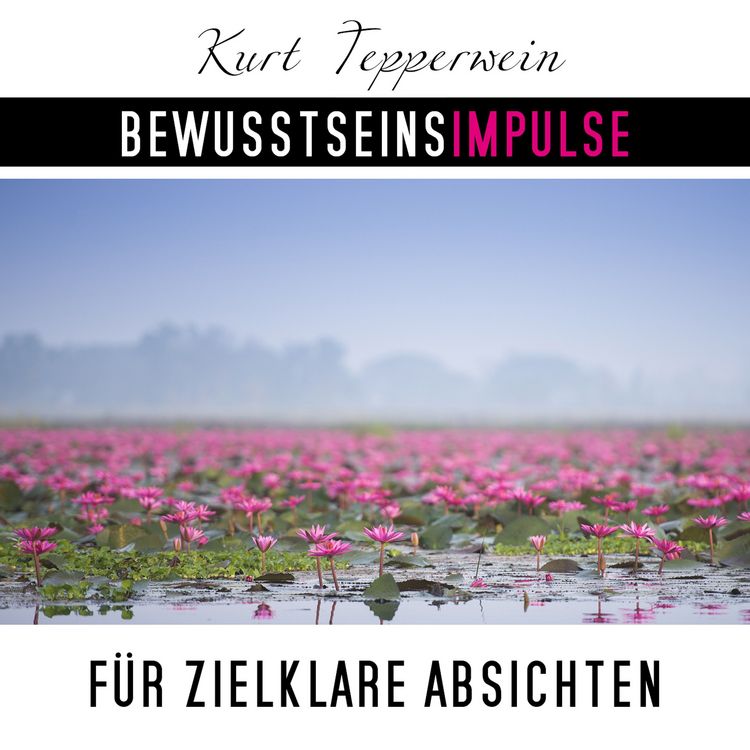 Produktbild: Bewusstseinsimpulse f&uuml;r zielklare Absichten