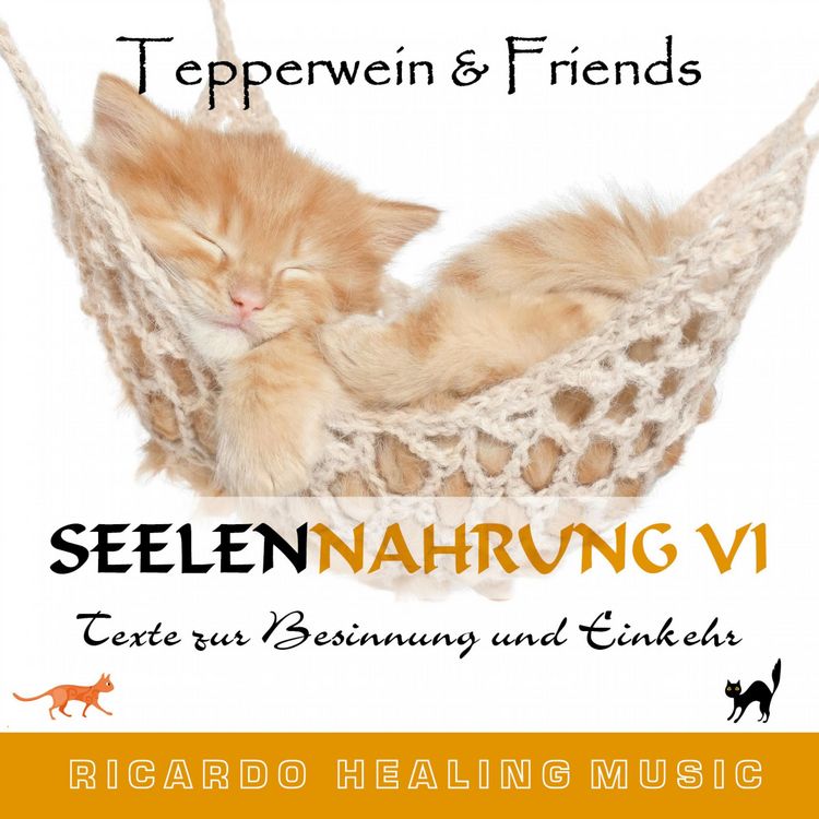 Produktbild: Seelennahrung 6: Texte zur Besinnung und Einkehr (Tepperwein and Friends)