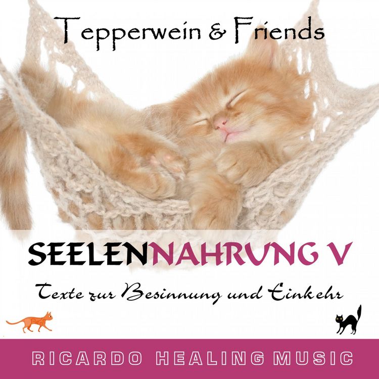 Produktbild: Seelennahrung 5: Texte zur Besinnung und Einkehr (Tepperwein and Friends)