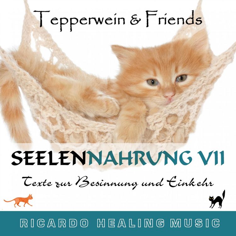 Produktbild: Seelennahrung 7: Texte zur Besinnung und Einkehr (Tepperwein and Friends)