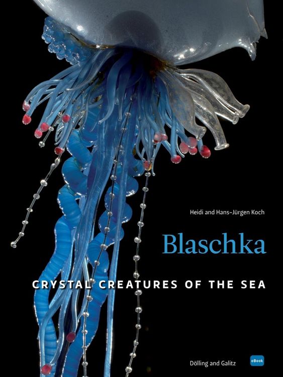 Produktbild: Blaschka