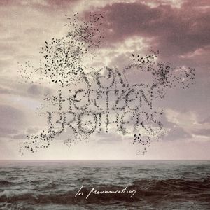 Produktbild: In Murmuration