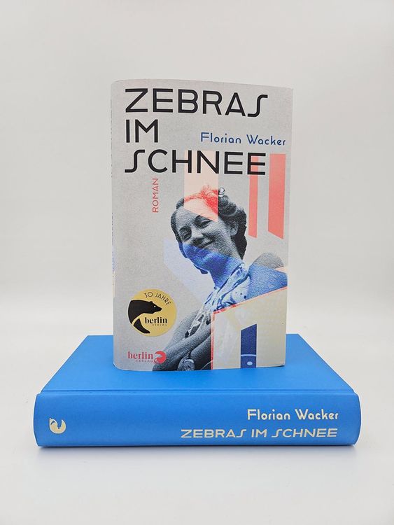 Produktbild: Zebras im Schnee
