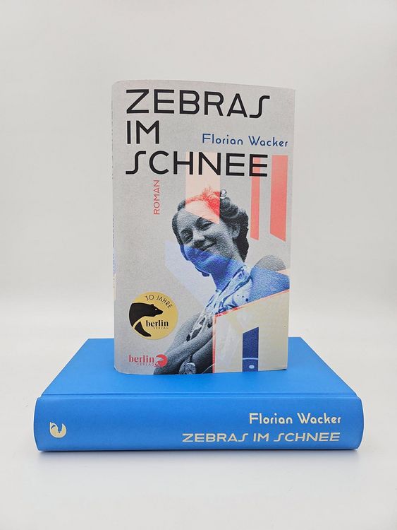 Produktbild: Zebras im Schnee