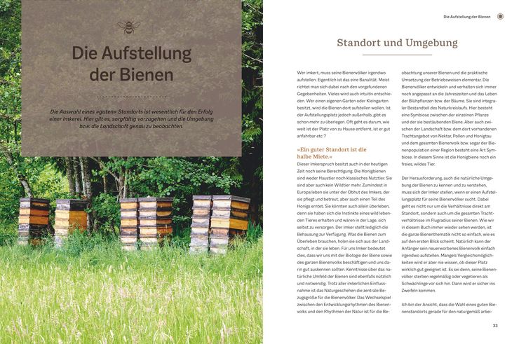 Produktbild: Bienengem&auml;&szlig; imkern im Jahreslauf