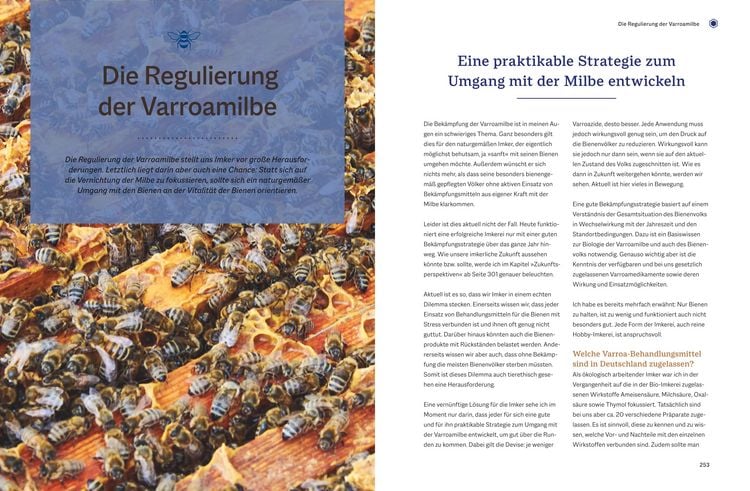 Produktbild: Bienengem&auml;&szlig; imkern im Jahreslauf