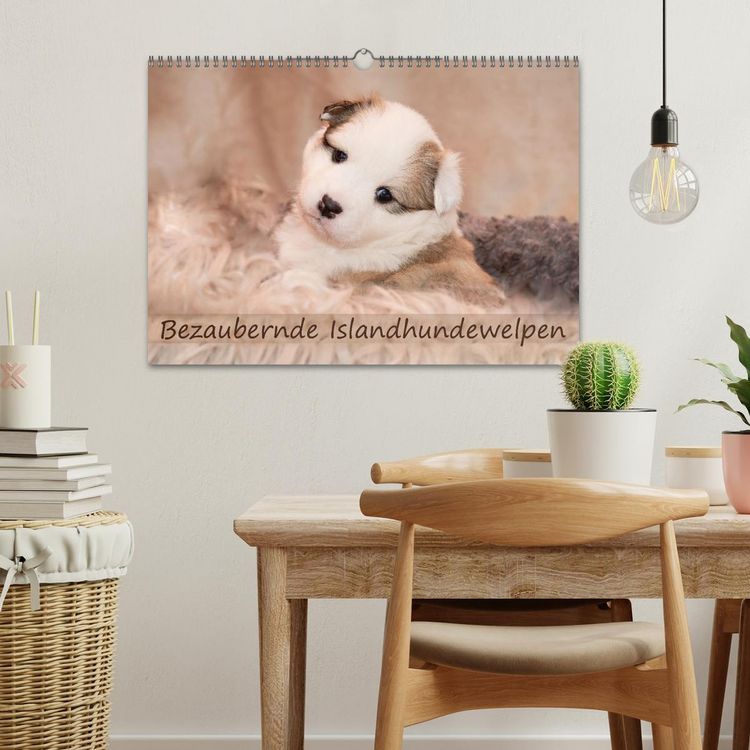 Produktbild: Bezaubernde Islandhundewelpen (Wandkalender 2026 DIN A3 quer), CALVENDO Monatskalender