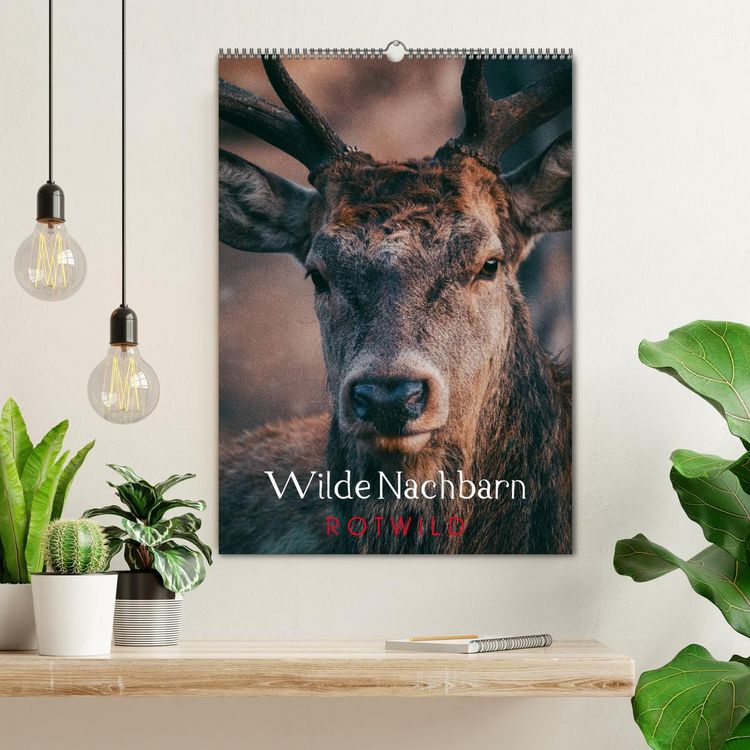 Produktbild: Wilde Nachbarn: Rotwild (Wandkalender 2026 DIN A2 hoch), CALVENDO Monatskalender