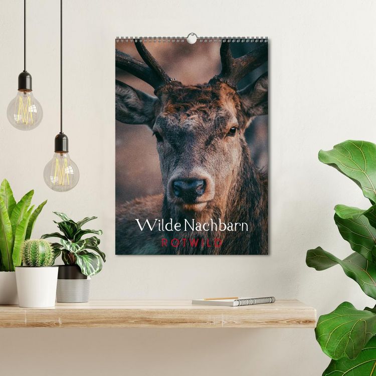 Produktbild: Wilde Nachbarn: Rotwild (Wandkalender 2026 DIN A3 hoch), CALVENDO Monatskalender