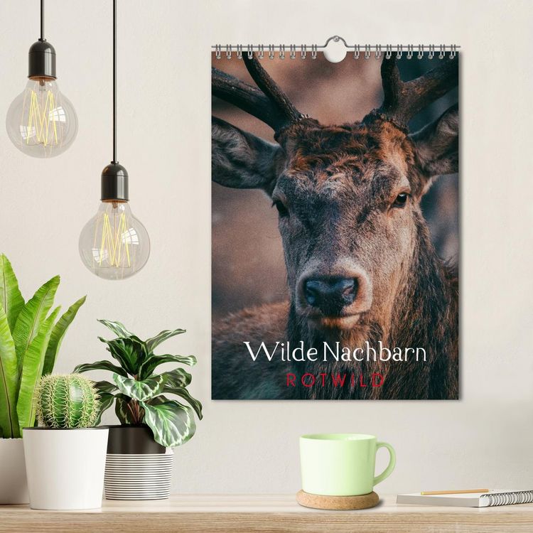 Produktbild: Wilde Nachbarn: Rotwild (Wandkalender 2026 DIN A4 hoch), CALVENDO Monatskalender