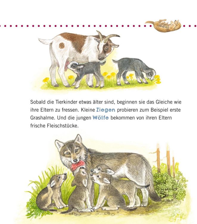 Produktbild: Unkaputtbar: Erstes Wissen: Tiere und ihre Kinder