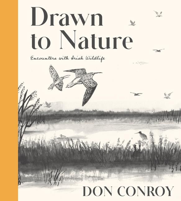 Produktbild: Drawn to Nature