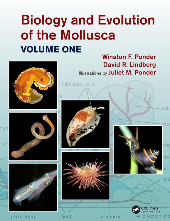 Produktbild: Biology and Evolution of the Mollusca, Volume 1