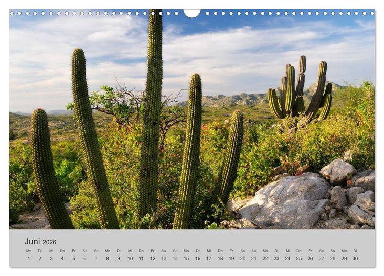 Produktbild: TRAUMLANDSCHAFTEN Christian Heeb (Wandkalender 2026 DIN A3 quer), CALVENDO Monatskalender