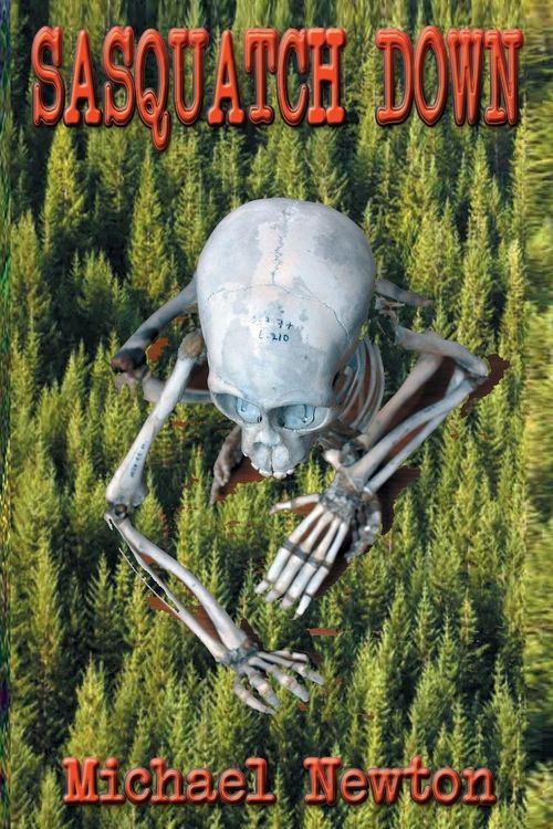 Produktbild: Sasquatch Down