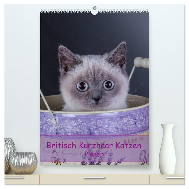 Produktbild: Britisch Kurzhaar Katzen - Planer (hochwertiger Premium Wandkalender 2026 DIN A2 hoch), Kunstdruck in Hochglanz