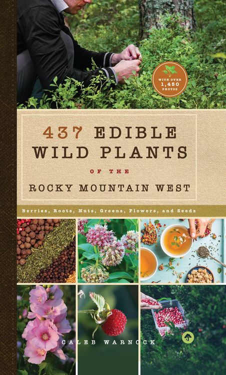 Produktbild: 437 Edible Wild Plants of the Rocky Mountain West