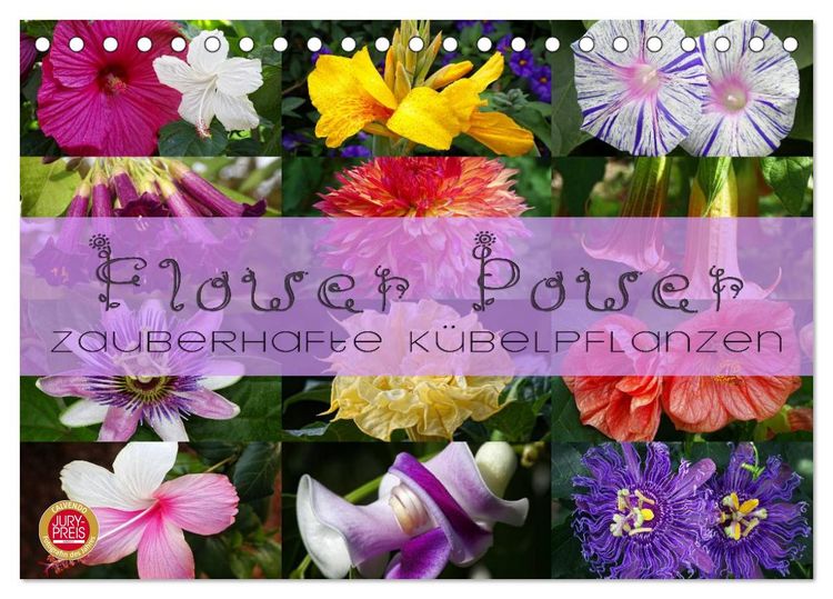 Produktbild: Flower Power - Zauberhafte K&uuml;belpflanzen (Tischkalender 2026 DIN A5 quer), CALVENDO Monatskalender