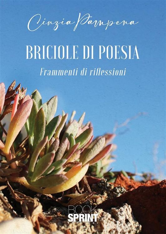 Produktbild: Briciole di poesia