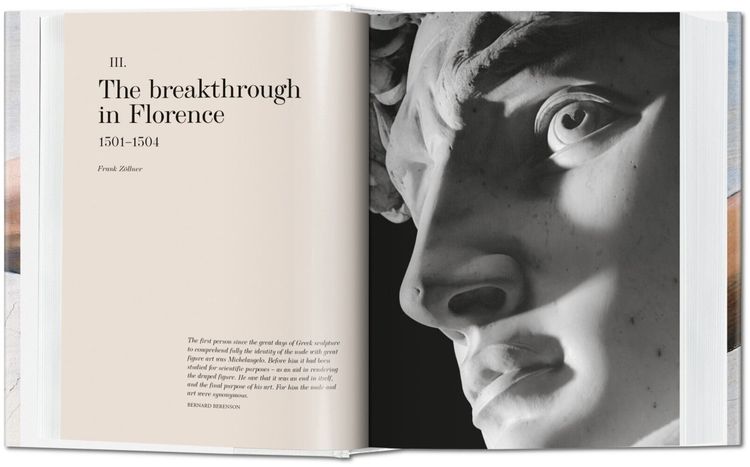 Produktbild: Michelangelo. The Complete Paintings, Sculptures and Arch.