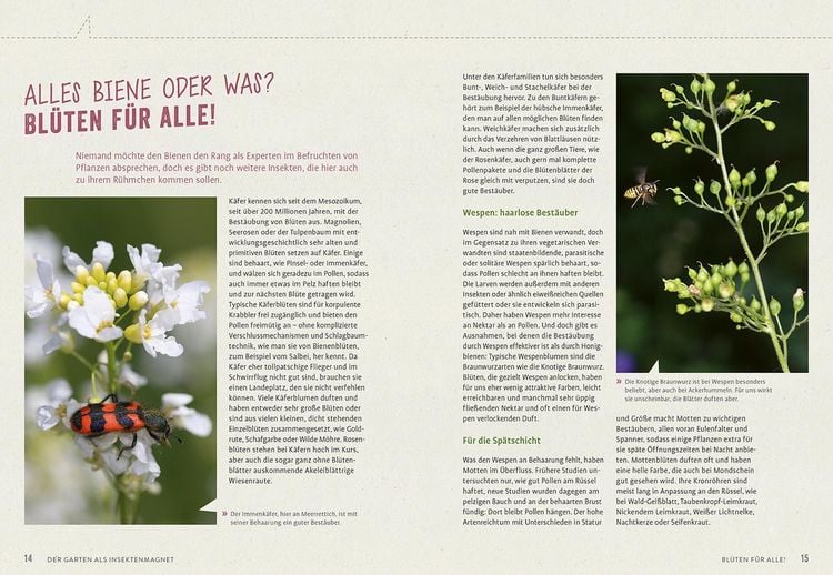 Produktbild: Richtig gute Pflanzen f&uuml;r Insekten