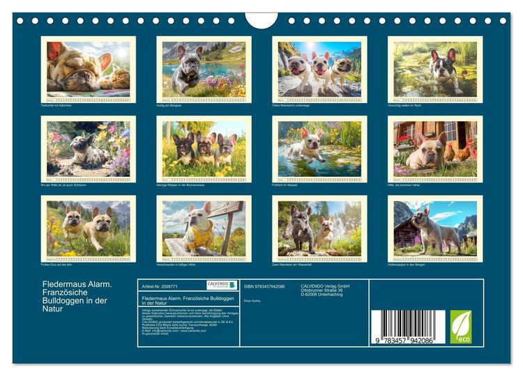 Produktbild: Fledermaus Alarm. Franz&ouml;siche Bulldoggen in der Natur (Wandkalender 2026 DIN A4 quer), CALVENDO Monatskalender