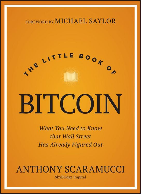 Produktbild: The Little Book of Bitcoin
