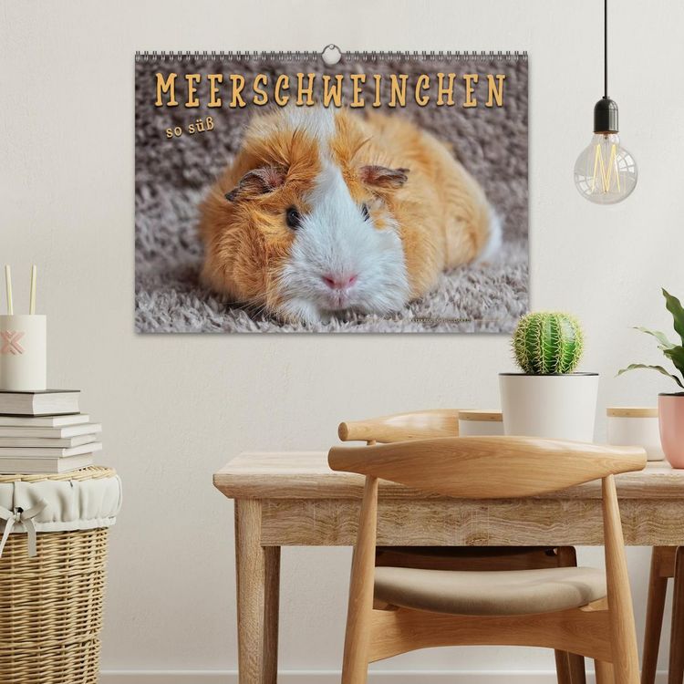 Produktbild: Meerschweinchen - so s&uuml;&szlig; (Wandkalender 2026 DIN A3 quer), CALVENDO Monatskalender