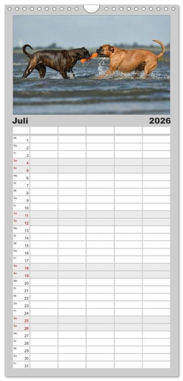 Produktbild: Familienplaner 2026 - Gut - besser - Boxer mit 5 Spalten (Wandkalender, 21 x 45 cm) CALVENDO