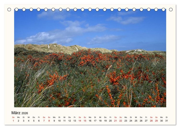 Produktbild: Borkum - Ruhig inmitten der Wogen (Tischkalender 2026 DIN A5 quer), CALVENDO Monatskalender