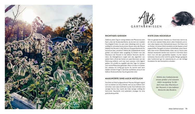 Produktbild: Kleine Freiheit Garten &ndash; Gl&uuml;cklich im Schrebergarten